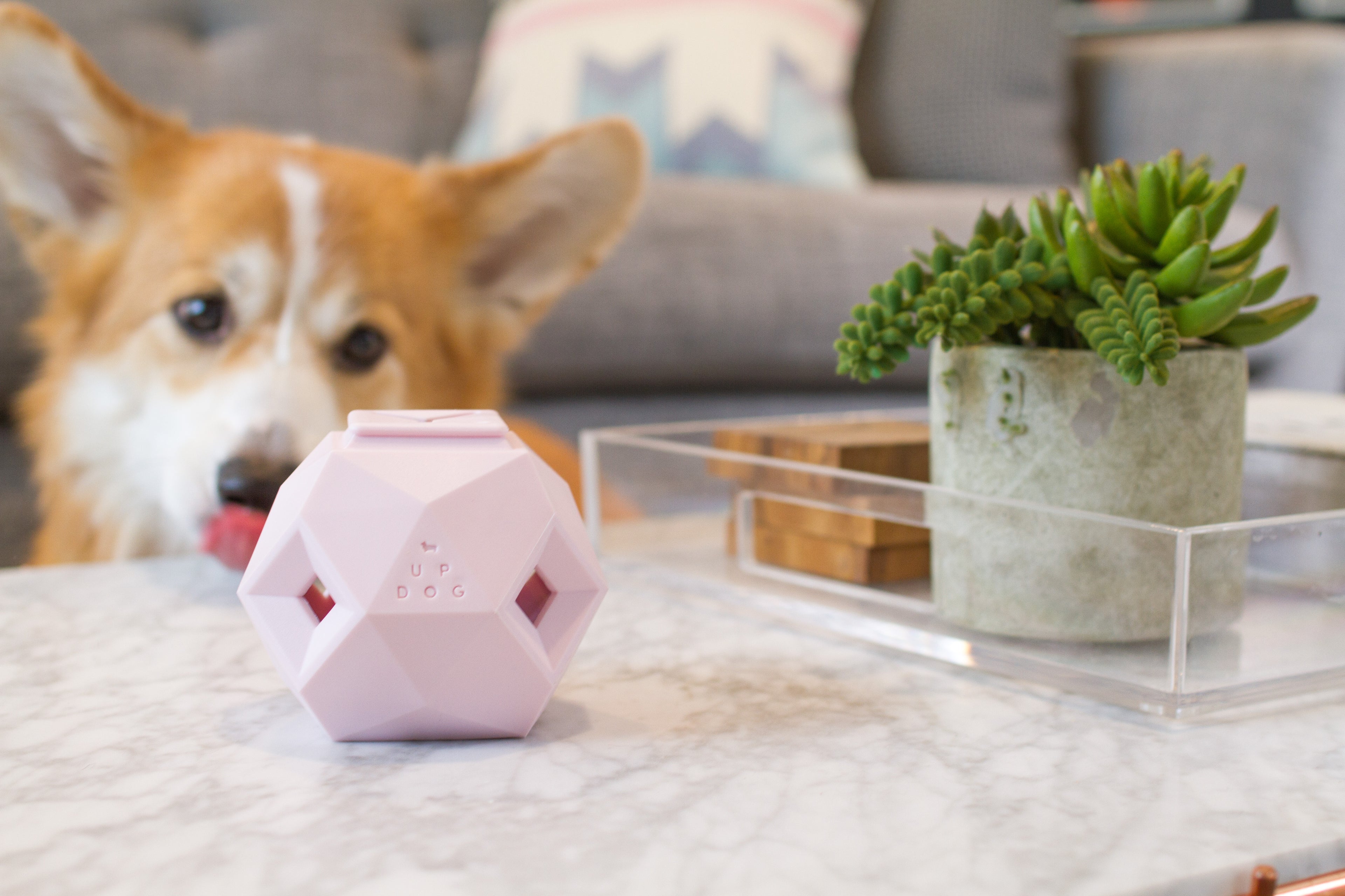The Odin - Modern Interactive Treat Dispensing Puzzle Toy By: Up Dog Toys