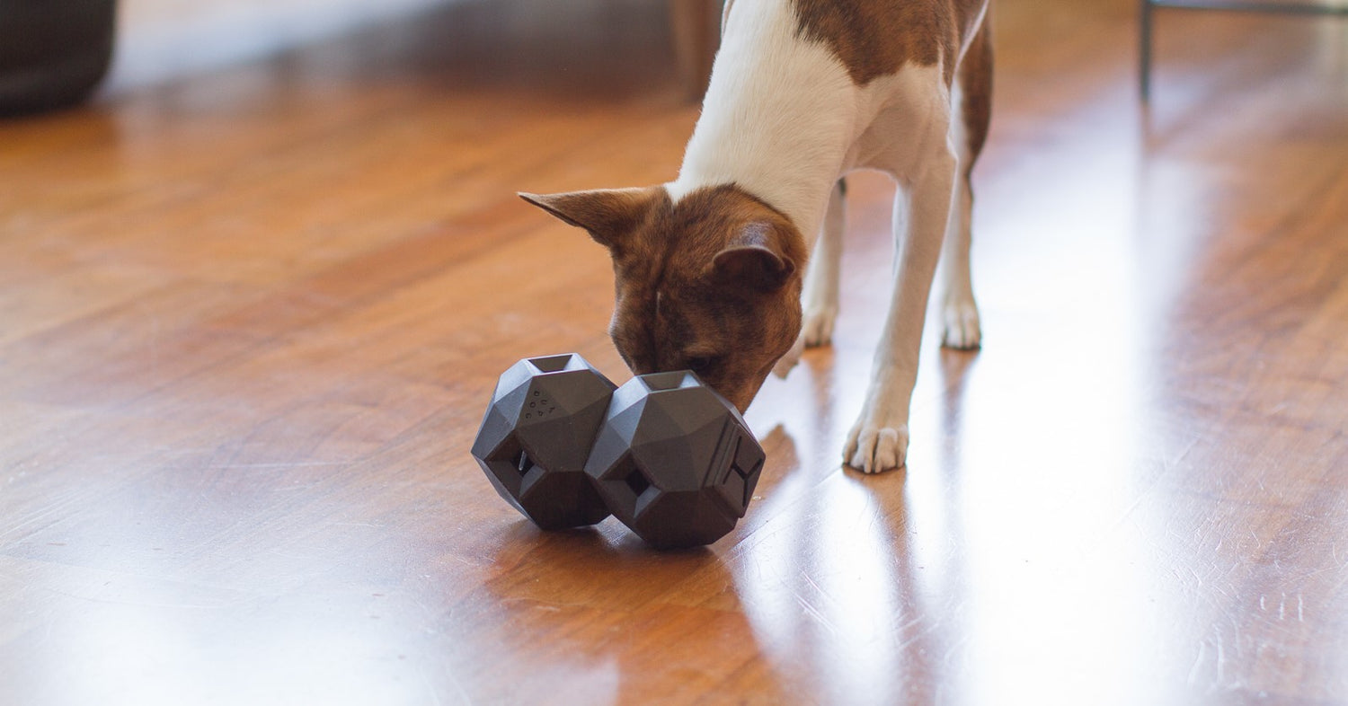 The Odin - Innovative Interactive Treat Dispensing Puzzle Toy By: Up Dog Toys