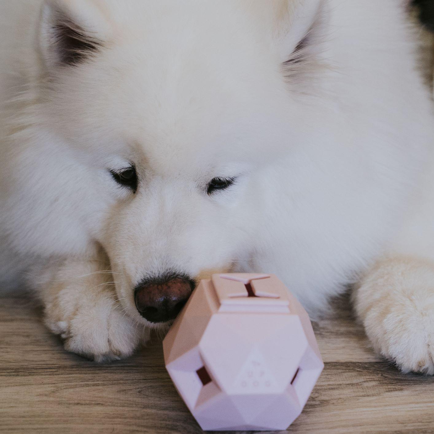 The Odin - Modern Interactive Treat Dispensing Puzzle Toy – Up Dog